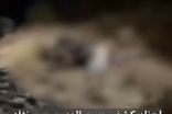 بی احتیاطی عجیب در لحظه کشف پیکر الهه حسین‌نژاد 
