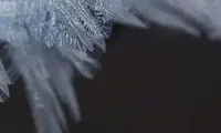 ظاهر شدن «انگشت‌مرگ» در اعماق تاریکی!