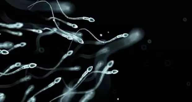 خبر شوکه‌کننده درباره میزان اسپرم مردان