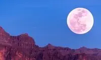 تماشای آسمان فردا شب را به‌هیچ‌وجه از دست ندهید