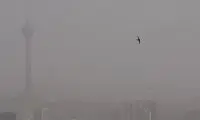 ویدیویی خلاقانه که با هوش مصنوعی برای تهران ساخته شد