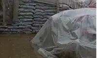 واکنش گمرک به آب‌گرفتگی برنج‌ها در زاهدان