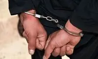 عامل آتش‌سوزی جنگل‌های هیرکانی دستگیر شد