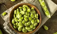 3 روش خشک کردن باقالی سبز برای استفاده در تمام سال