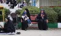 اتوبوس و غذای مجانی هدیه ویژه حمایت از قانون حجاب!