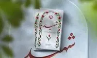شهادت فرمانده پایگاه بسیج در زاهدان