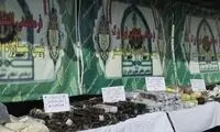 جمع آوری ۲۰۷ کیلوگرم موادمخدر از اطراف مدارس در تهران