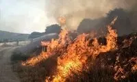 آتش‌سوزی گسترده در حاشیه پارک ملی تهران