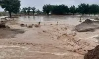 لحظه نجات ۵ خانواده محاصره شده در سیل هرمزگان
