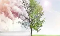 این شهر پاک‌ترین شهر کشور است