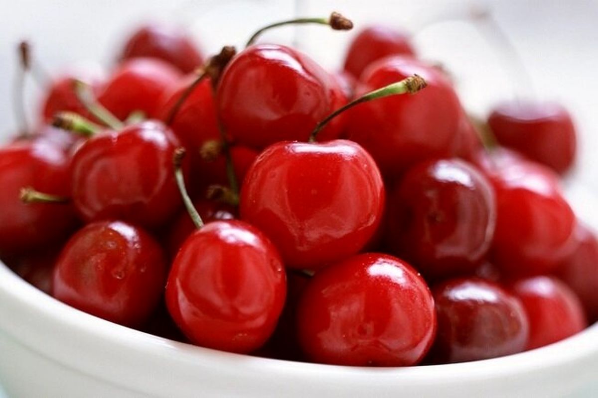   میوه تابستانه محبوب کیلویی یک میلیون تومان شد! 