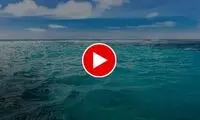 لحظه شگفت‌انگیز از مشاهده هم‌زمان شب و روز!