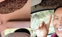 یک خودرو در تسخیر زنبورهای وحشی