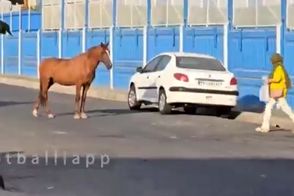 اتفاق عجیب و غریب مقابل کمپ تمرینی استقلال
