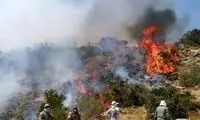 از خسارت جنگل هیرکانی نپرسید، پاسخی در کار نیست!