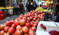 قیمت انواع میوه در بازار میوه و تره‌بار