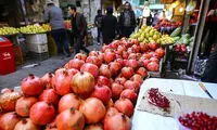 قیمت انواع میوه در بازار میوه و تره‌بار