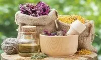نسخه گیاهی برای ریزش مو؛ آیا واقعاً موثرند؟