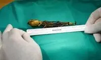 ماجرای بحث‌برانگیزترین مومیایی جهان