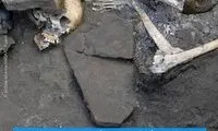 تبار ایرانی یک قربانی پمپئی دوهزار و 100ساله
