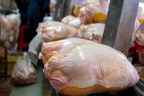 ماجرای بسته‌بندی مجدد مرغ تاریخ گذشته در گیلان