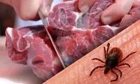 چگونه بفهمیم تب کریمه‌ کنگو گرفتیم؟