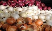 کاهش قیمت پیاز تا ۱۰روز آینده
