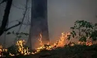 ویدئویی که در ساعات اخیر قلب ایران را به درد آورد