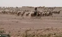 عاقبت چوپانی که پایگاه اسرائیل در عراق را لو داد