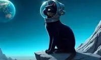 قیمت کتز مشخص شد