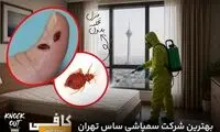 بهترین شرکت های سمپاشی ساس تهران [ دارای ضمانت‌نامه کتبی ریشه کنی ساس ]
