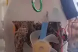 این پسر بچه با دبه ماست کولر آبی ساخت!