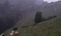بارش برف زیبای بهاری در ارتفاعات رویایی گیلان