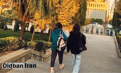 آمار عجیب از یک پدیده عجیب در بین زنان ایرانی