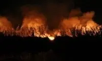ویدئویی از آتش‌سوزی هولناک در میانکاله