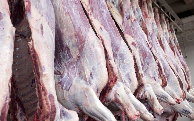 عرضه گوشت گرم با قیمت مصوب از این تاریخ
