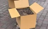 شاهکار جدید شهرداری تهران سوژه مردم شد