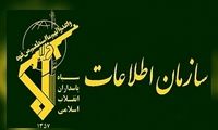 سپاه، آرمین راد را دستگیر کرد