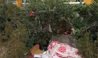 کارتن خوابی که می‌توانست امام جماعت باشد