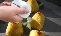 دستگاهی‌ که رژیمی‌ها دیوانه‌اش می‌شوند!