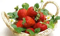 توت فرنگی میوه ممنوعه بارداری است؟