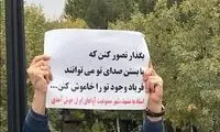پلاکارد طعنه‌آمیز یکی از هواداران استاد شجریان