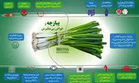 اینفوگرافیک؛ پیازچه و خواص بی نظیرش