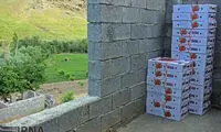 عکس: برداشت توت فرنگی در کردستان