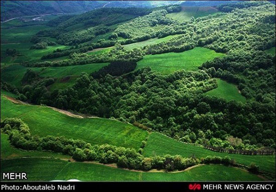 ثبت جهانی ۱۵پهنه از جنگل‌های هیرکانی