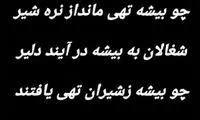 کنایه اینستاگرامی قلعه‌نویی به پیروانی