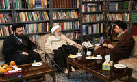 دیدار وصی آیت الله بهجت با سید حسن