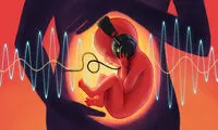 ضبط یک آلبوم موسیقی از یک جنین متولد نشده!