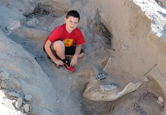 کشف تصادفی یک فسیل ۱.۲میلیون‌ساله توسط یک کودک