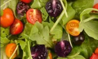 گوجه فرنگی تراریخته در چین تولید شد